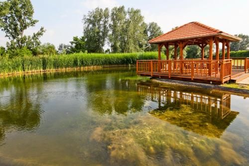 صورة الفندق 19