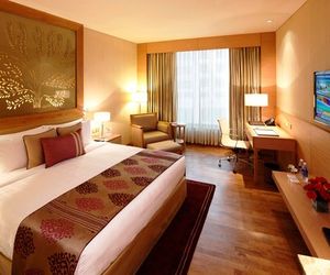 Radisson Blu Hotel New Delhi Dwarka Samalka India