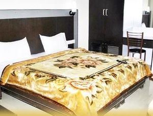 Airport Hotel Vishal Residency Samalka India