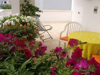 صورة الفندق 24