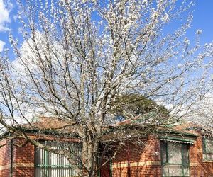 Mount Waverley Townhouses Glen Waverley Australia