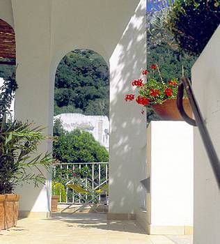 صورة الفندق 20