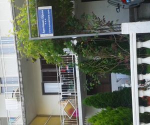 Apartments Dijana Budva Montenegro