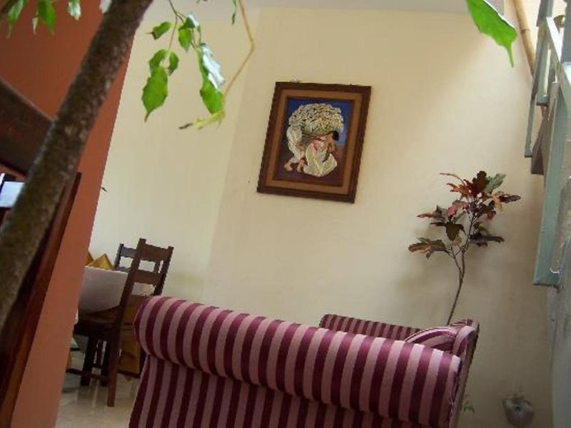 صورة الفندق 13