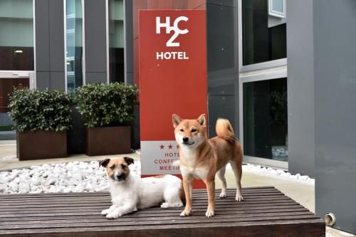 Hotel Photo 22