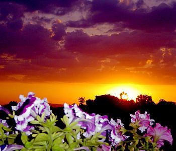 صورة الفندق 21