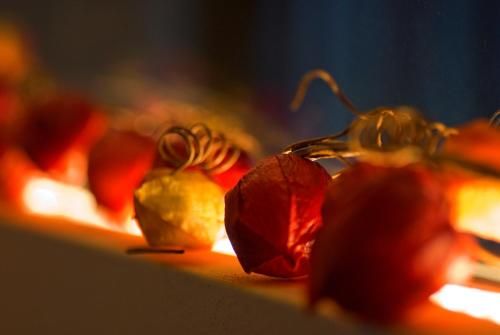 صورة الفندق 17