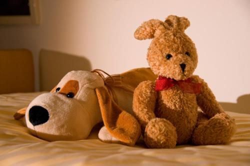 صورة الفندق 3