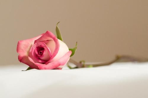 صورة الفندق 6