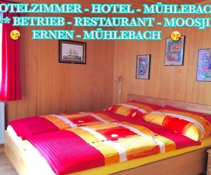Hotel Mühlebach Aernen Switzerland