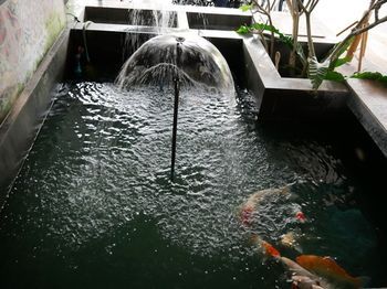 صورة الفندق 20