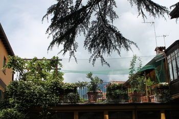 صورة الفندق 24