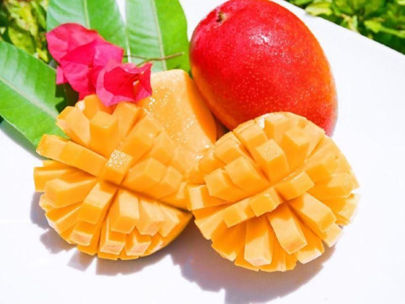 صورة الفندق 11