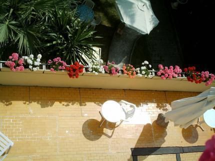 صورة الفندق 20