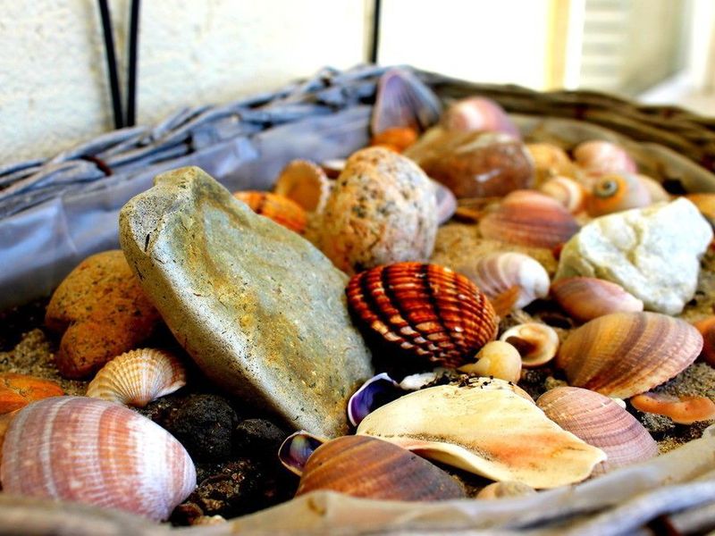 صورة الفندق 8