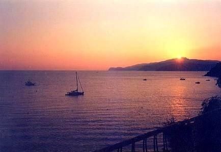 صورة الفندق 16