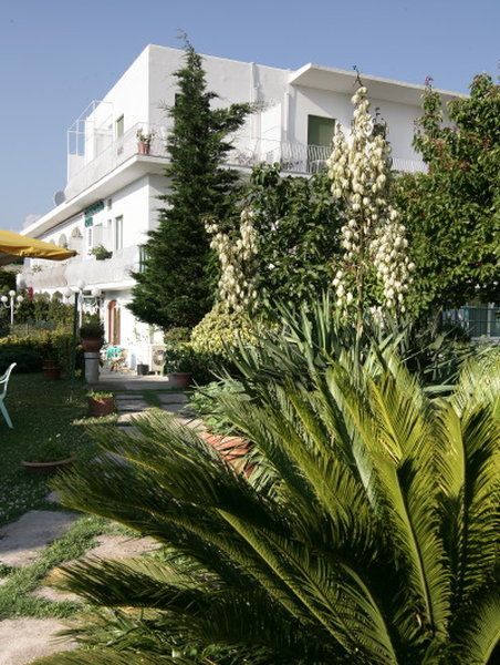 صورة الفندق 18