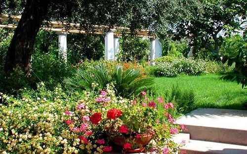 صورة الفندق 19
