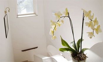 صورة الفندق 10