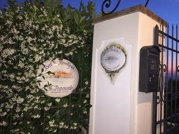 صورة الفندق 12