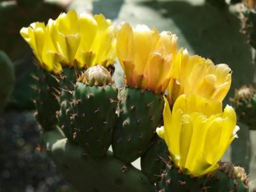 صورة الفندق 13