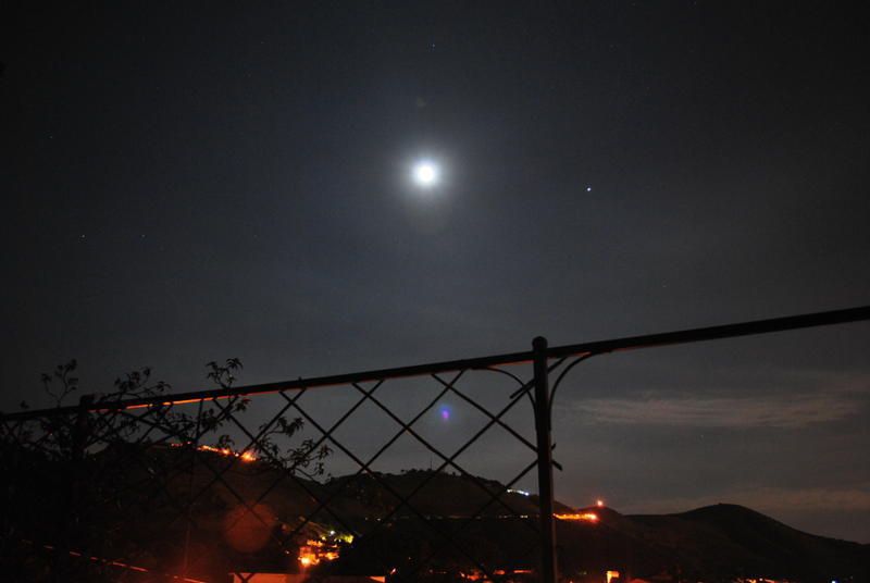 صورة الفندق 24
