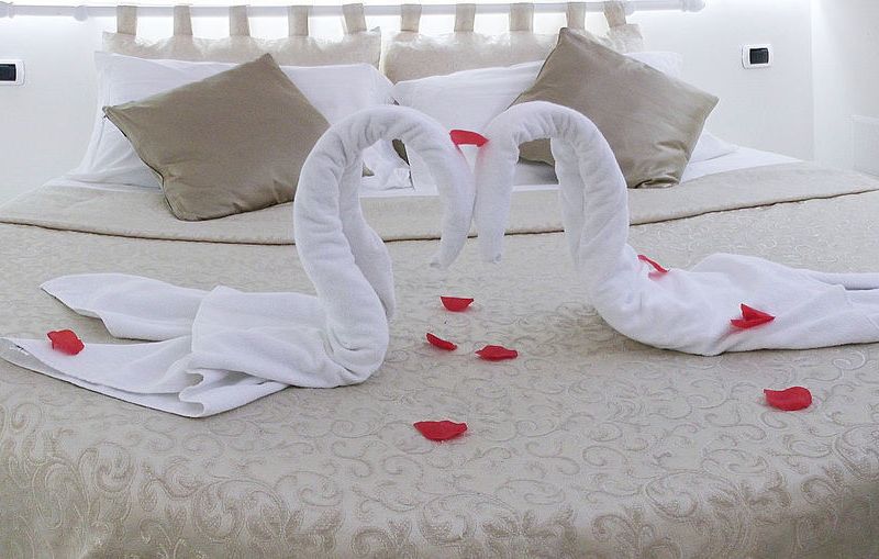 صورة الفندق 8