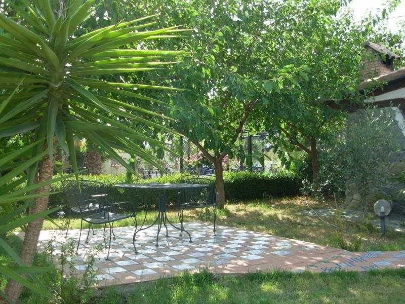 صورة الفندق 14