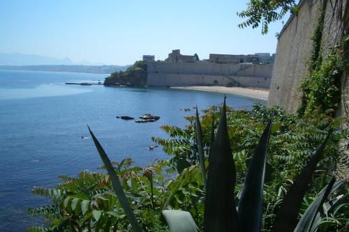 صورة الفندق 23