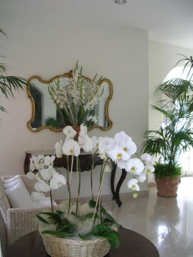 صورة الفندق 10