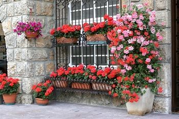 صورة الفندق 17