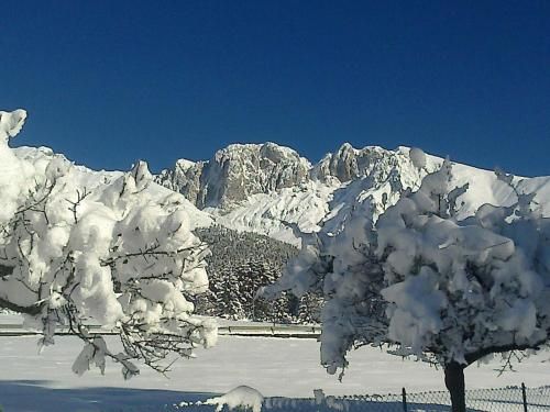صورة الفندق 20