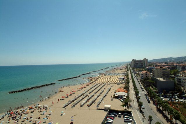 صورة الفندق 24