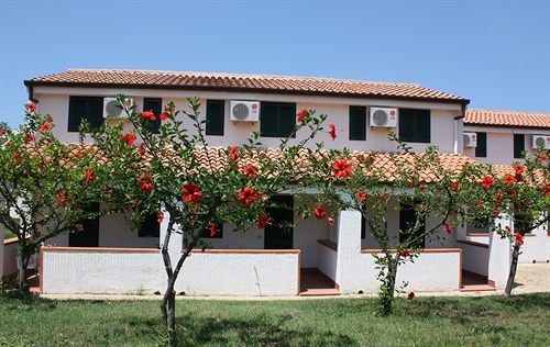 صورة الفندق 1