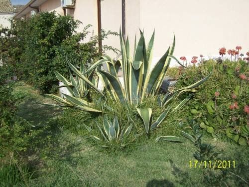 صورة الفندق 7