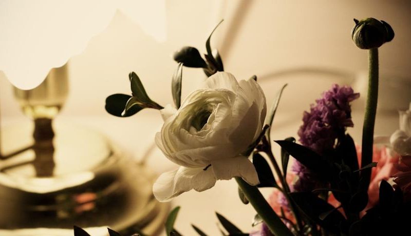 صورة الفندق 12