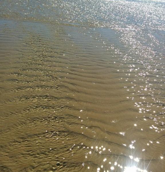 صورة الفندق 20