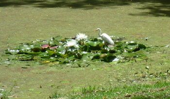 صورة الفندق 18