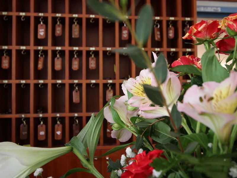 صورة الفندق 16