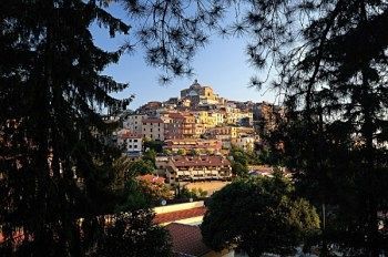 صورة الفندق 21
