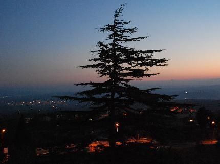 صورة الفندق 17