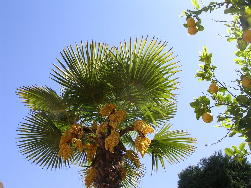 صورة الفندق 20
