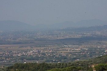 صورة الفندق 24