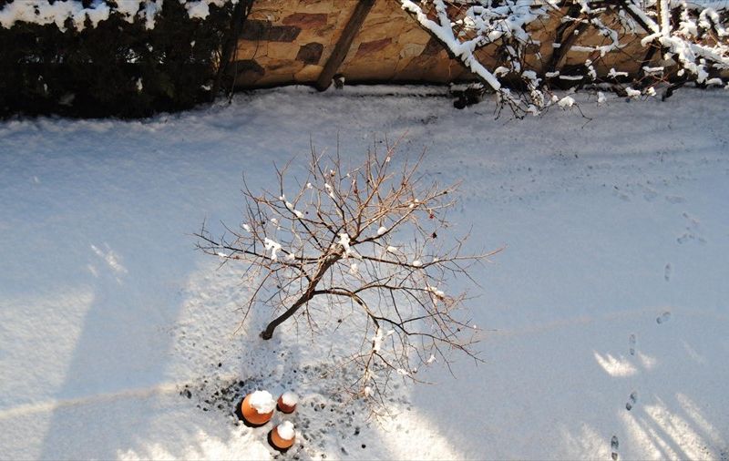 صورة الفندق 12