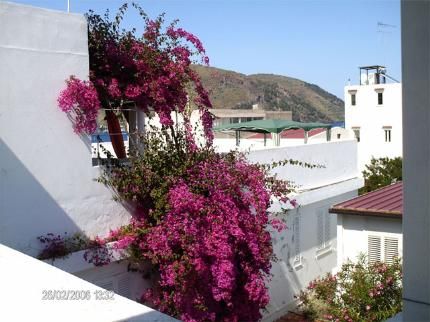 صورة الفندق 21