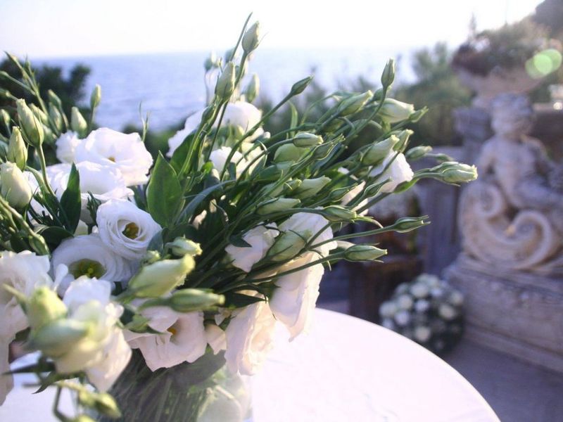 صورة الفندق 19