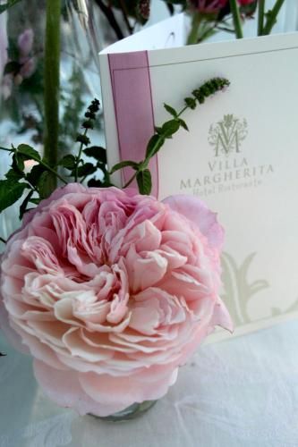 صورة الفندق 9