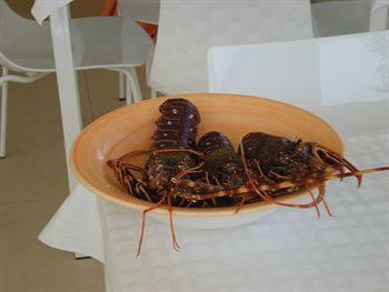 صورة الفندق 11