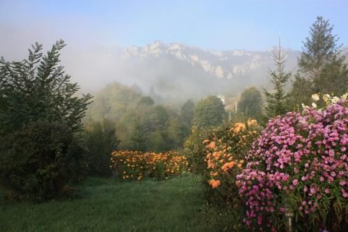 صورة الفندق 20