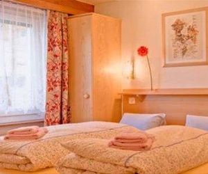 Apartment Alfa Saas Fee Switzerland